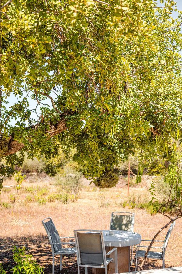 Finca Bassa Serra Santanyi Ngoại thất bức ảnh